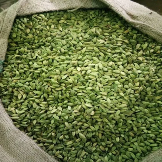 Cardamom Elachi 8 MM - Image 2