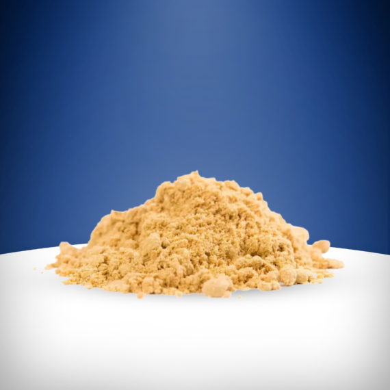 Dry Ginger Adarkh-Powder