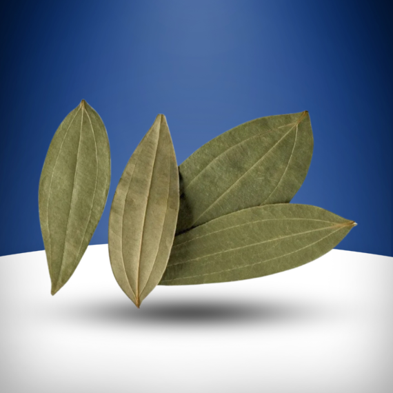 Indian Bay Leaf Tejpatta