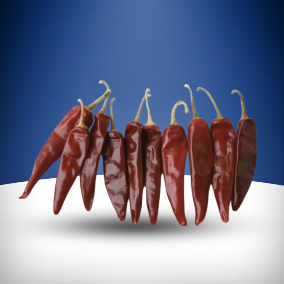 Pandi-Chilli
